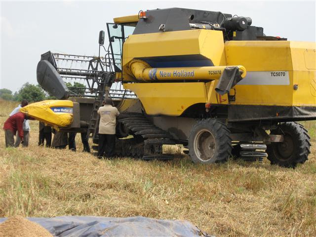 IMG 0900
