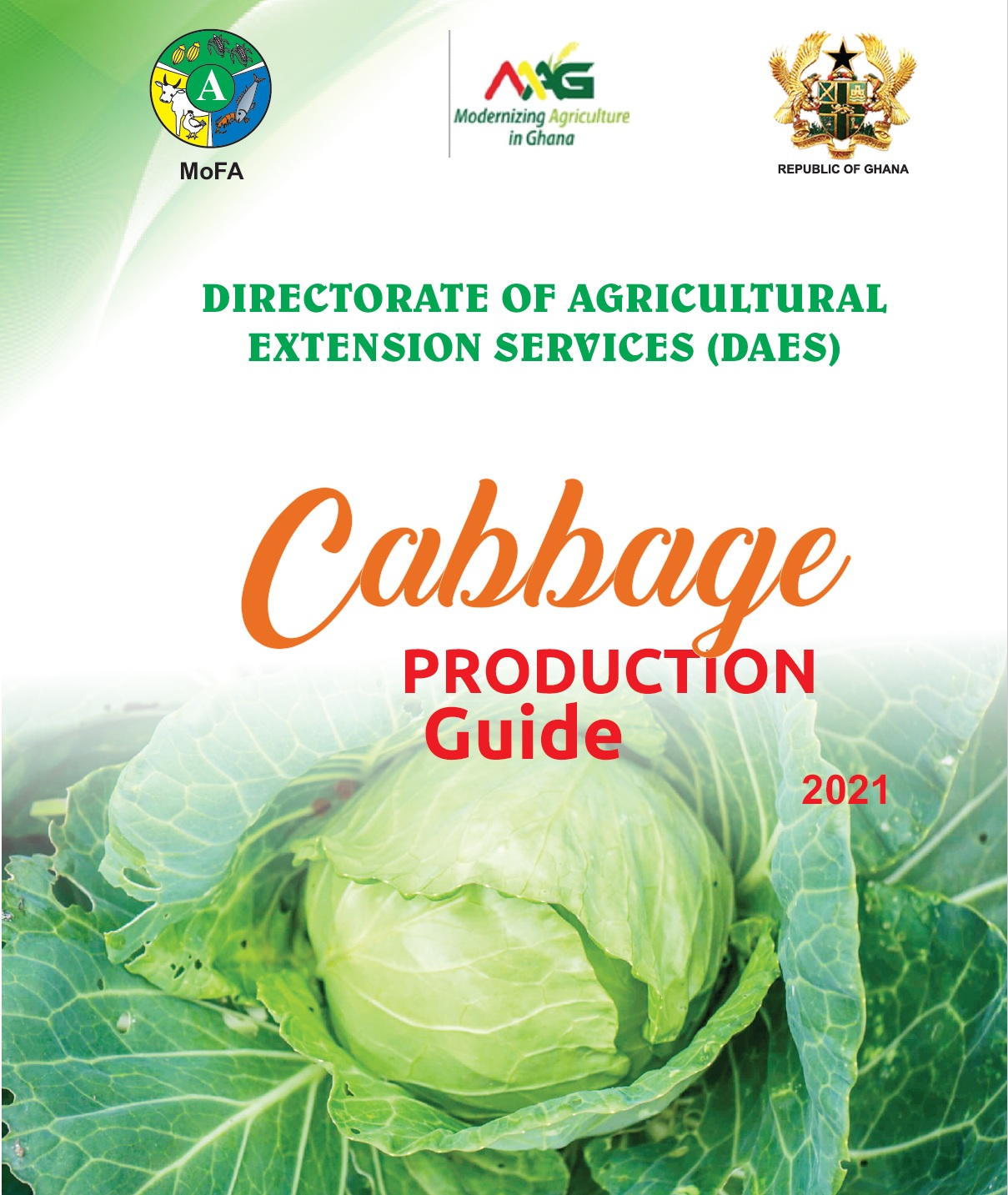 cabbage production guide