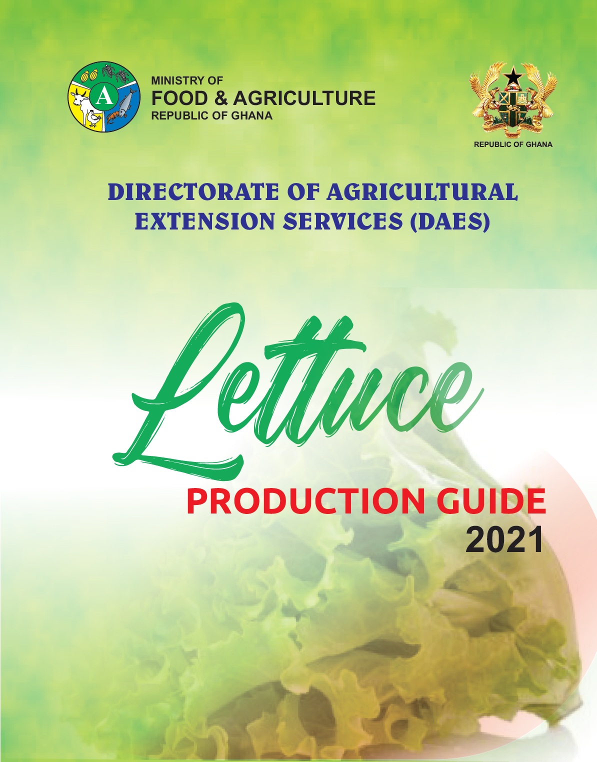lettuce production guide