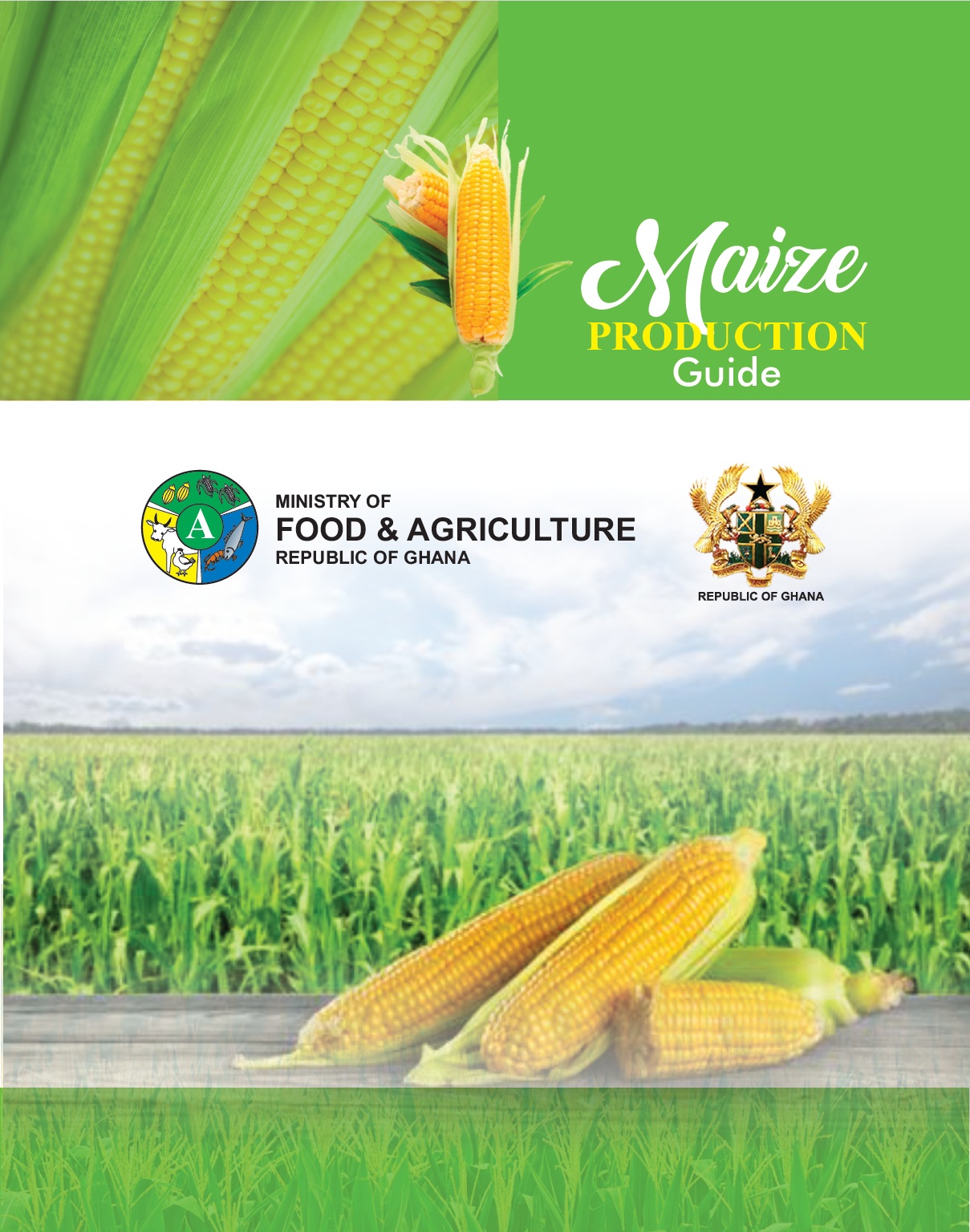 maize production guide