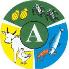 mofalogo