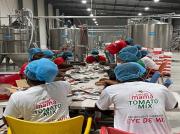 Weddi_Tomato_Processing_Limited