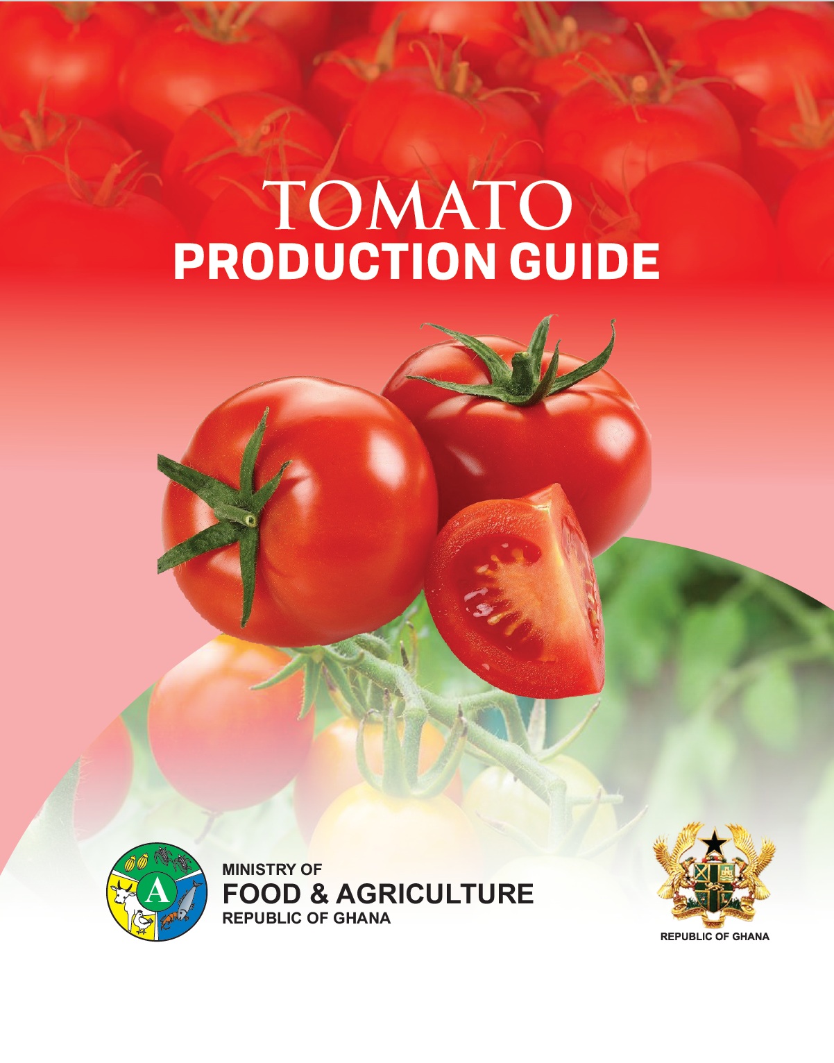 tomatoes production guide