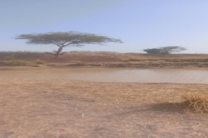 Current state of the irrigation facility