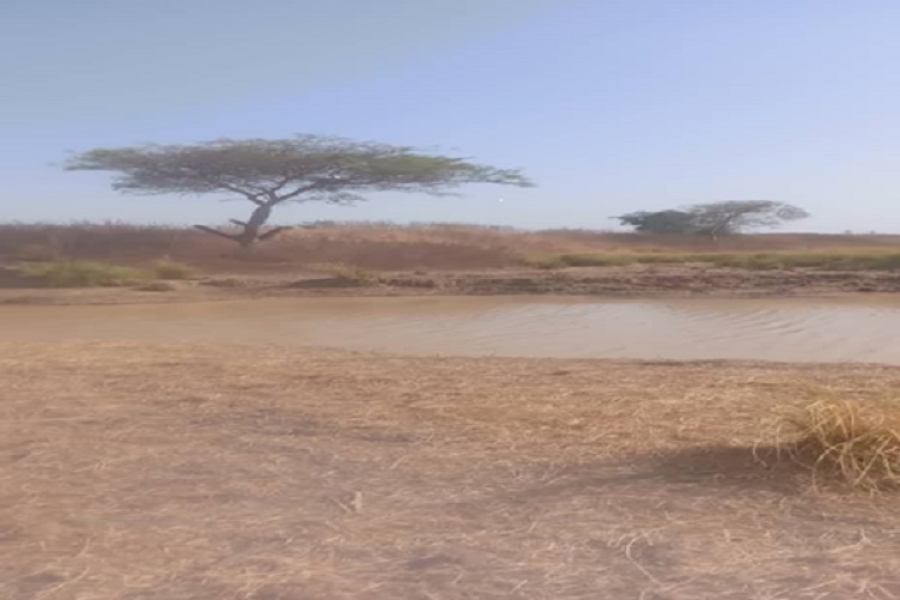 Current state of the irrigation facility