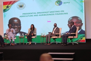 There are many opportunities that exist for Financial Institutions under the PFJ Phase II Programme: Dr. Bryan Acheampong.